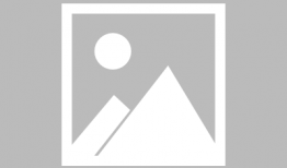 国歌指挥手势视频教程,标准动作解析与实操指南